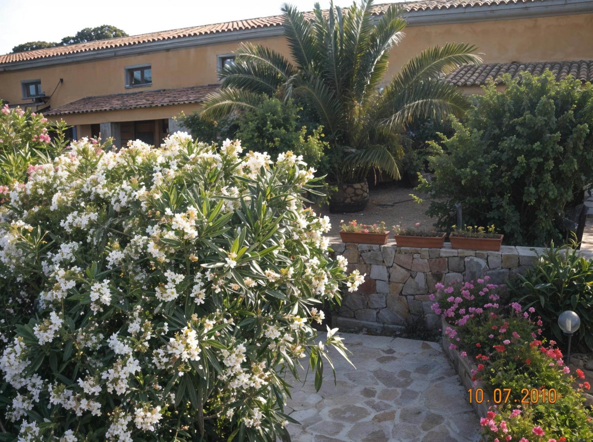 Agriturismo Lu Colbu Trinità dʼAgultu Buitenkant foto